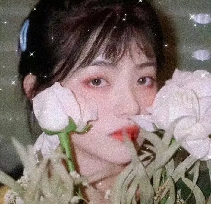 朵儿的战争