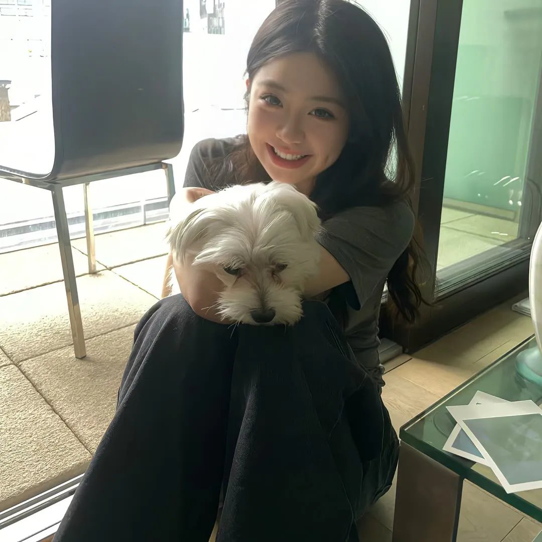 爱莉思的情书